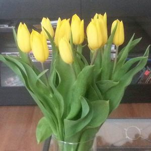 Meet your Posher, Sandra